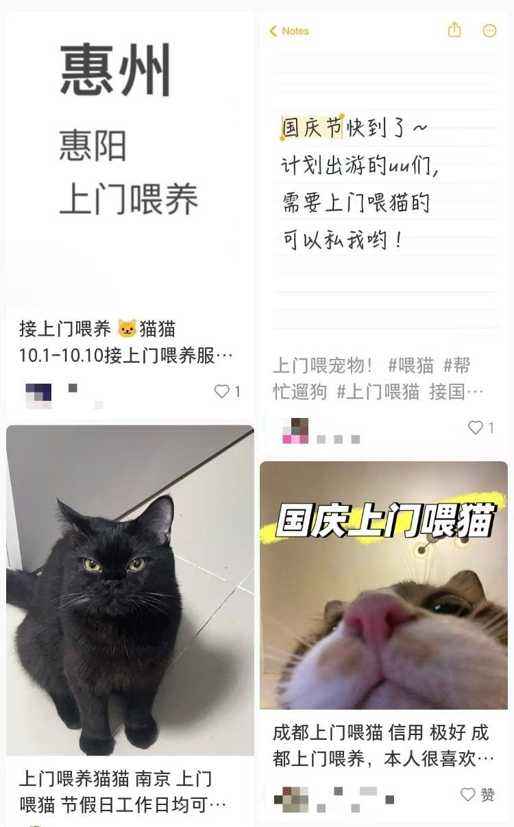 試養(yǎng)服務(wù)費用是多少（國慶期間寵物托養(yǎng)服務(wù)火爆:大單9天收費8100元）