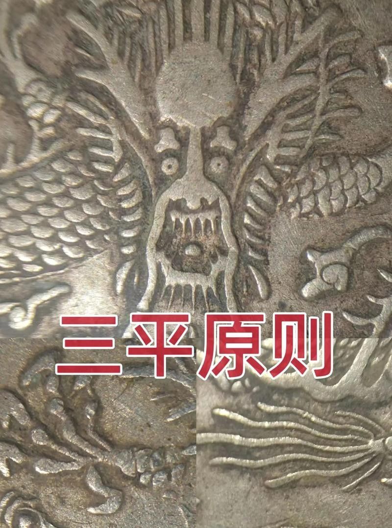如何辨別真假雪龍？（如何辨別真假雪龍）