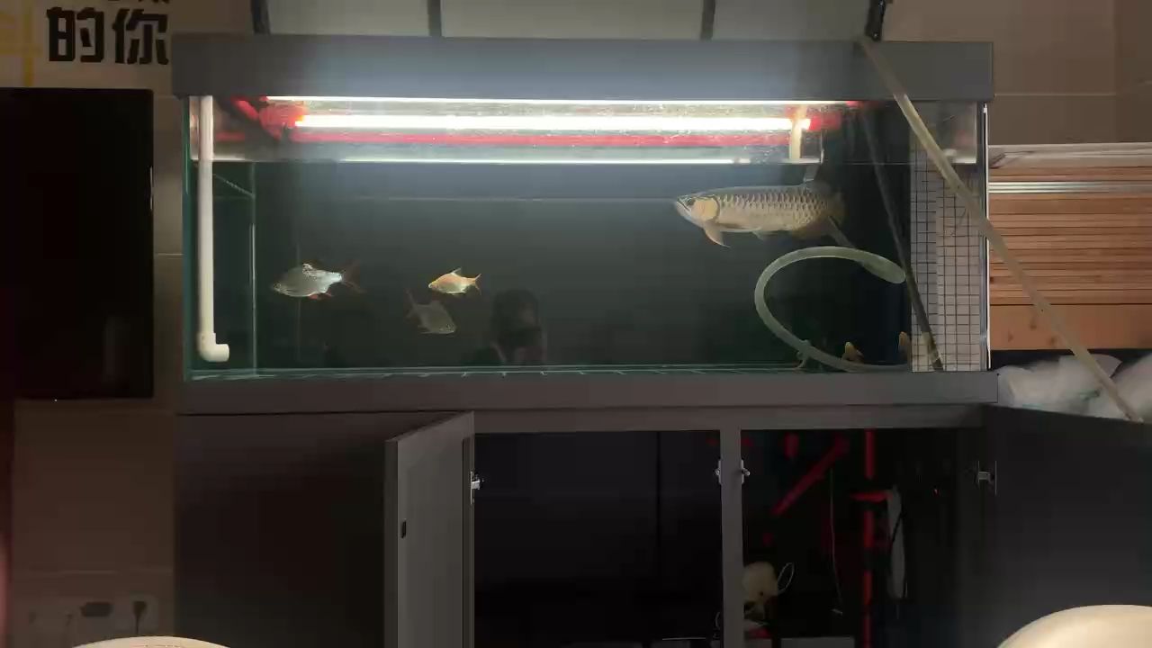 換水（換水對生態系統的影響）