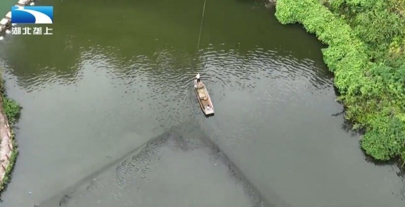 恩施龍魚養殖基地的口碑如何（恩施龍魚養殖基地怎么樣？）