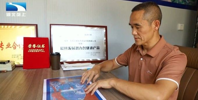 恩施龍魚養殖基地的口碑如何（恩施龍魚養殖基地怎么樣？）