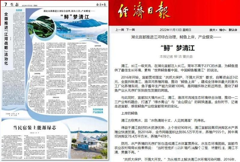 恩施龍魚養殖基地的口碑如何（恩施龍魚養殖基地怎么樣？）