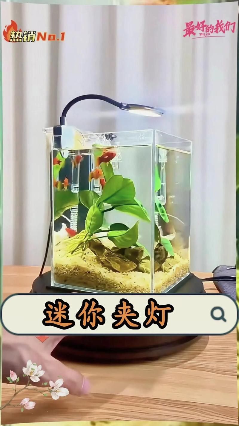 如何根據(jù)魚缸尺寸選擇水中燈（如何根據(jù)魚缸尺寸選擇合適的水中燈）