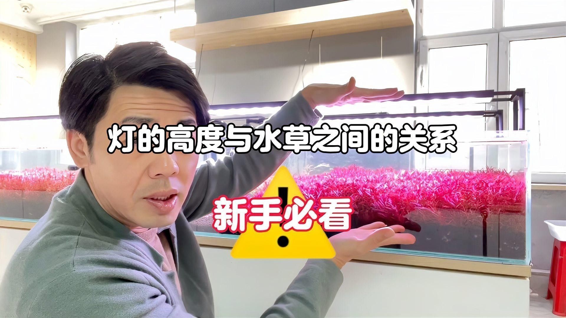 如何根據(jù)魚缸尺寸選擇水中燈（如何根據(jù)魚缸尺寸選擇合適的水中燈）