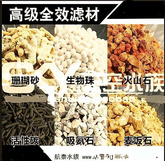 如何根據(jù)魚缸尺寸選擇水中燈（如何根據(jù)魚缸尺寸選擇合適的水中燈）