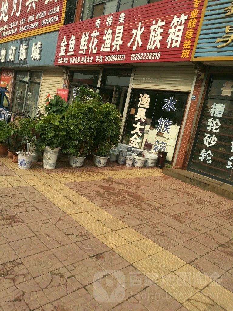故城哪個(gè)水族館龍魚好？祥龍魚場龍魚（故城哪個(gè)水族館祥龍魚場龍魚）