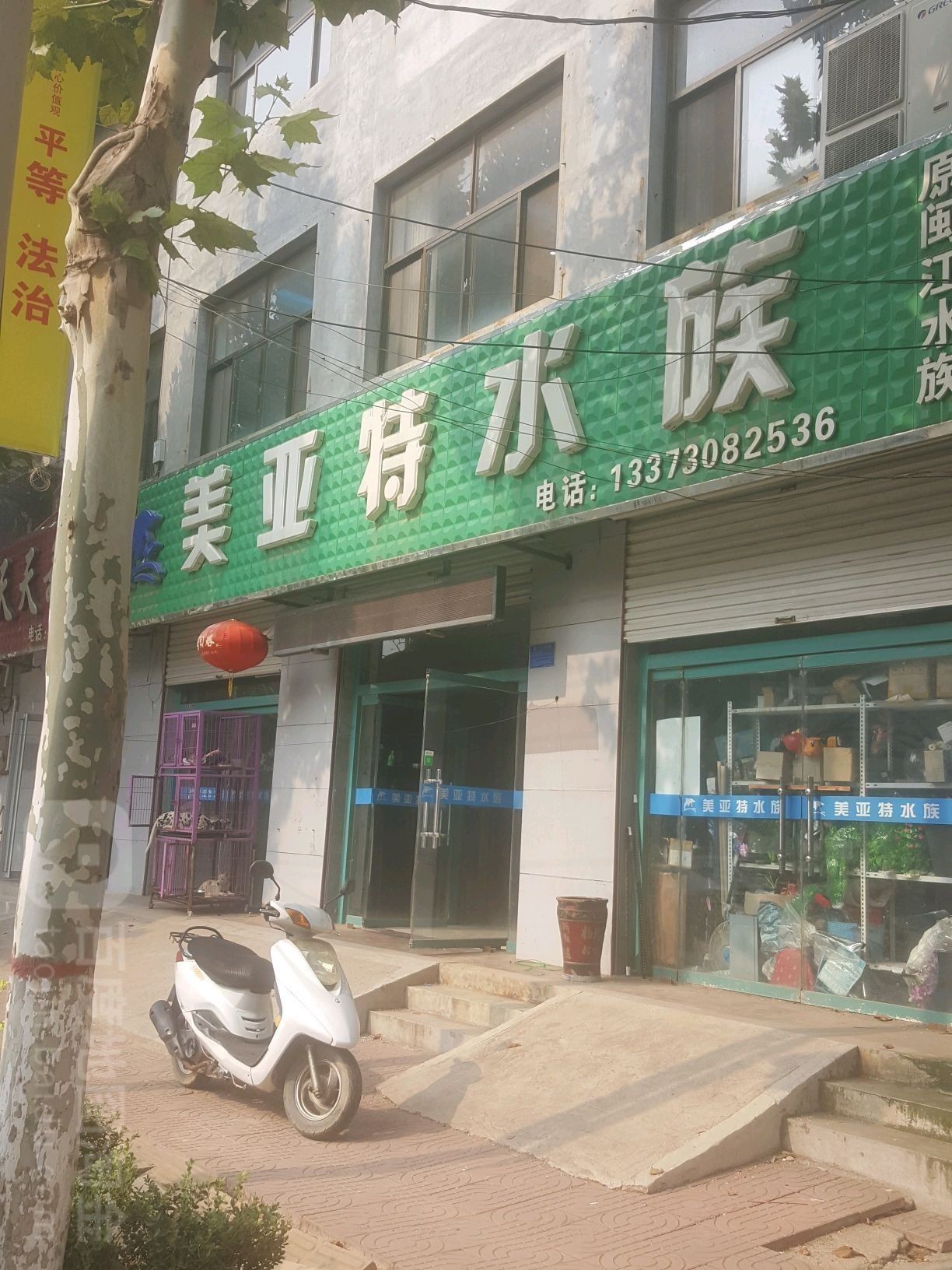 故城哪個(gè)水族館龍魚好？祥龍魚場龍魚（故城哪個(gè)水族館祥龍魚場龍魚）