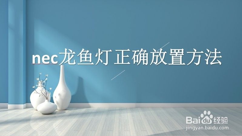 紅龍魚燈具安裝視頻教程（-—龍魚燈安裝視頻教程）