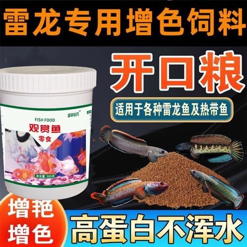 雷龍魚增色飼料有哪些品牌推薦（雷龍魚增色飼料品牌推薦）