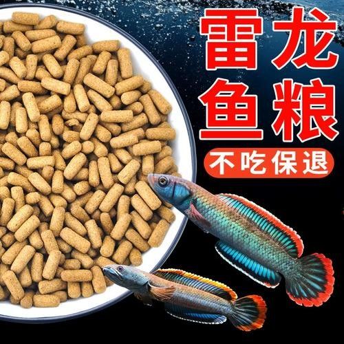 雷龍魚增色飼料有哪些品牌推薦（雷龍魚增色飼料品牌推薦）