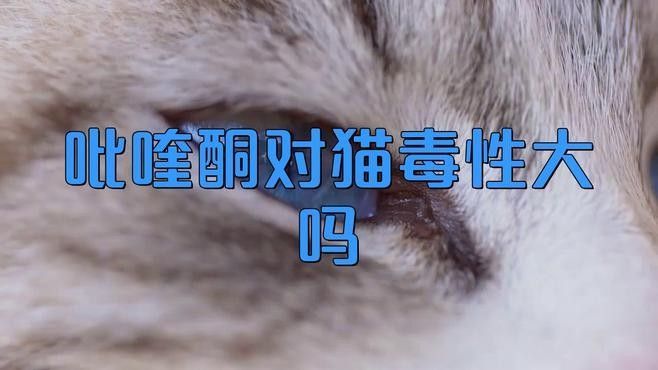 吡喹酮有哪些常見的人體副作用？（吡喹酮有什么副作用）