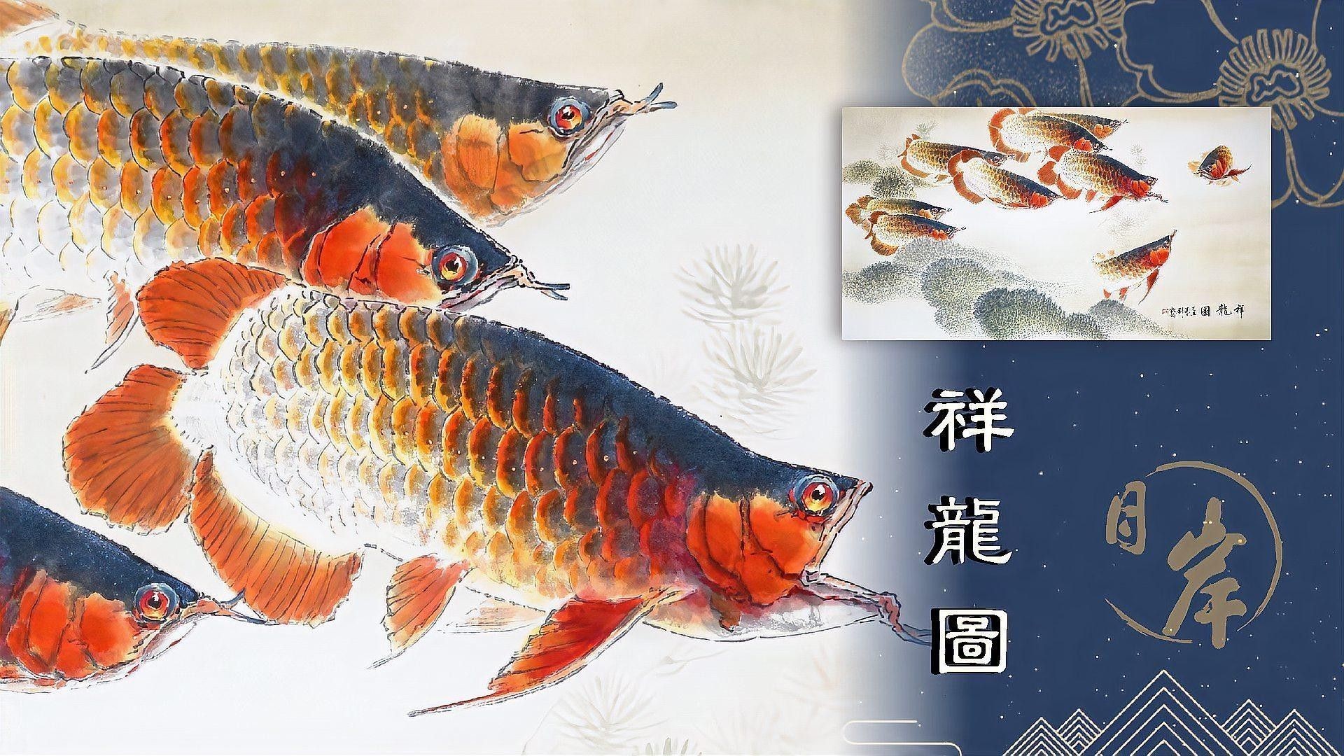 國畫金龍魚有哪些名家作品？（中國畫金龍魚作品《祥龍獻(xiàn)瑞》作品欣賞:魚的文化魅力）