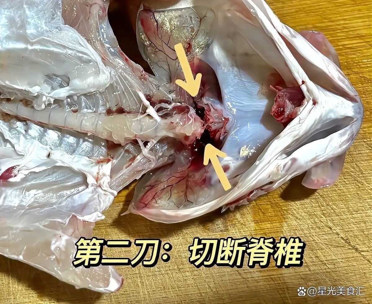 金龍魚的內(nèi)臟如何處理？（金龍魚內(nèi)臟處理的詳細(xì)分析，魚販偷偷說:先做這步,腥味減半不苦）
