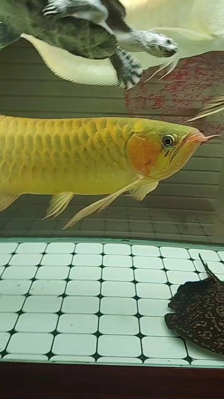 簽到（智能識別技術(shù)和個性化推薦算法：簽到系統(tǒng)的設(shè)計與實現(xiàn)）