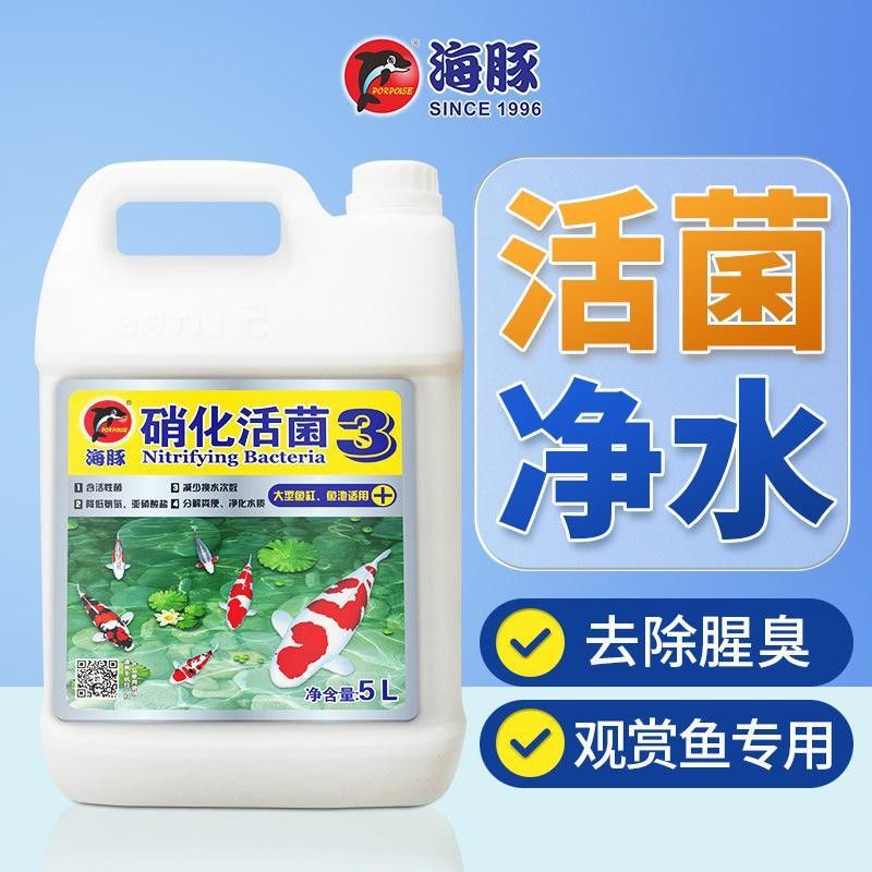 萬(wàn)龍魚(yú)的價(jià)格是多少？（萬(wàn)龍魚(yú)的市場(chǎng)價(jià)格波動(dòng)大嗎？）
