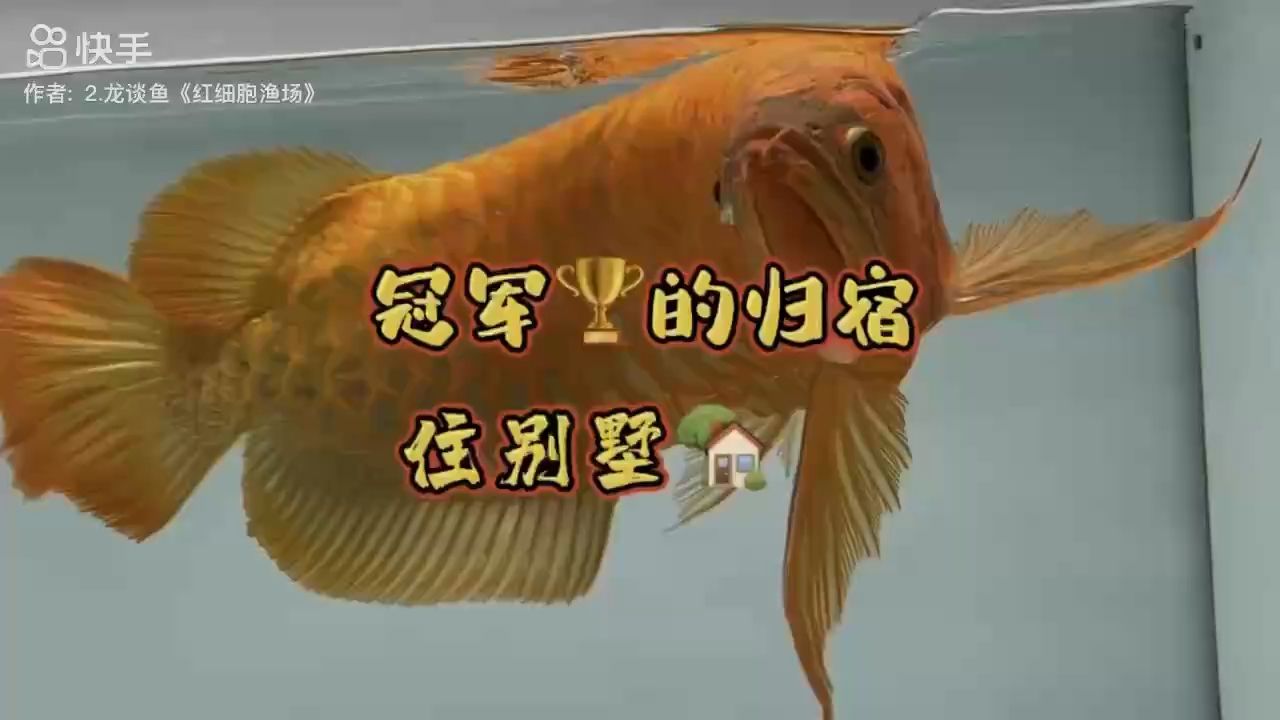 漂亮（_人見人愛評論：探索美麗與魅力的奧秘）