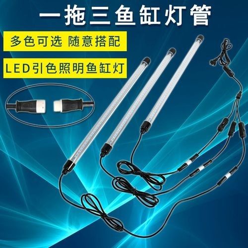 LED燈管適用于金龍魚嗎？（led燈管適用于金龍魚嗎）