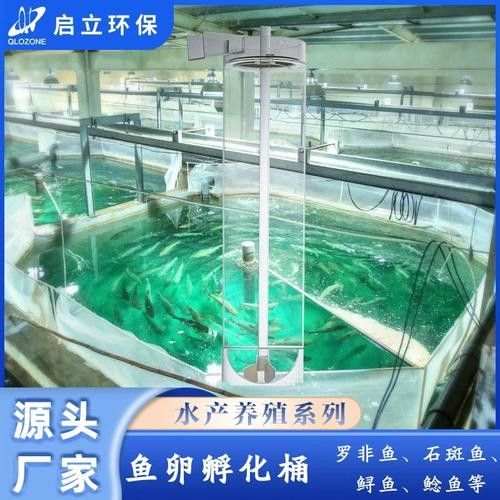 金龍魚人工孵化需要哪些設備（金龍魚人工孵化中的重要技術，提高幼魚成活率和生長速度）