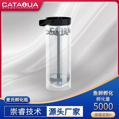 金龍魚人工孵化需要哪些設備（金龍魚人工孵化中的重要技術，提高幼魚成活率和生長速度）