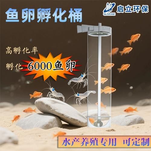 金龍魚人工孵化需要哪些設備（金龍魚人工孵化中的重要技術，提高幼魚成活率和生長速度）