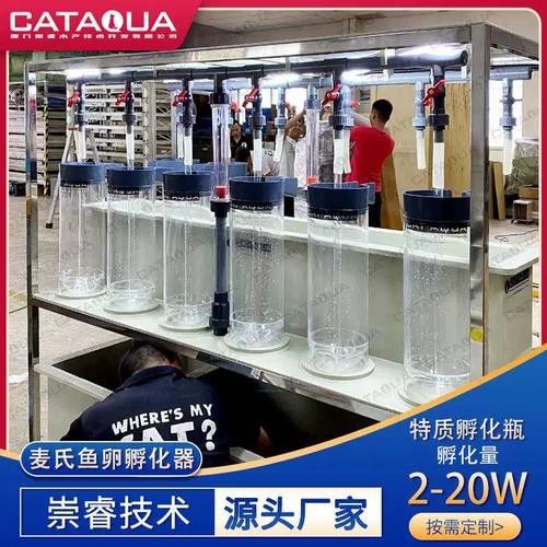 金龍魚人工孵化需要哪些設備（金龍魚人工孵化中的重要技術，提高幼魚成活率和生長速度）