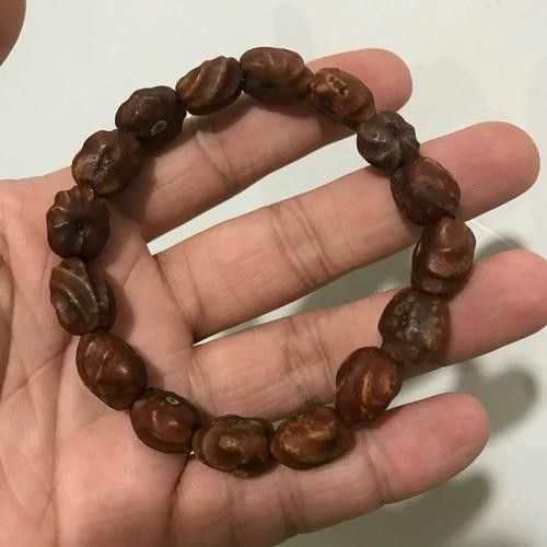 哪里可以購買到白玉紅龍魚？