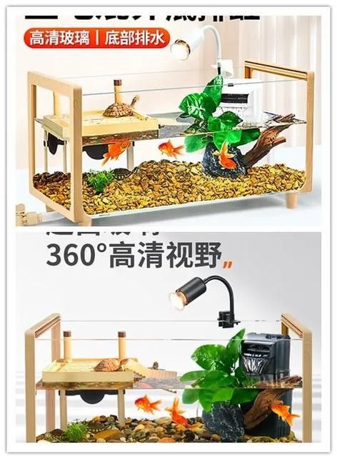混養時需要注意哪些事項（養魚說魚缸混養技巧:注意這三點避免爭斗游跡客）