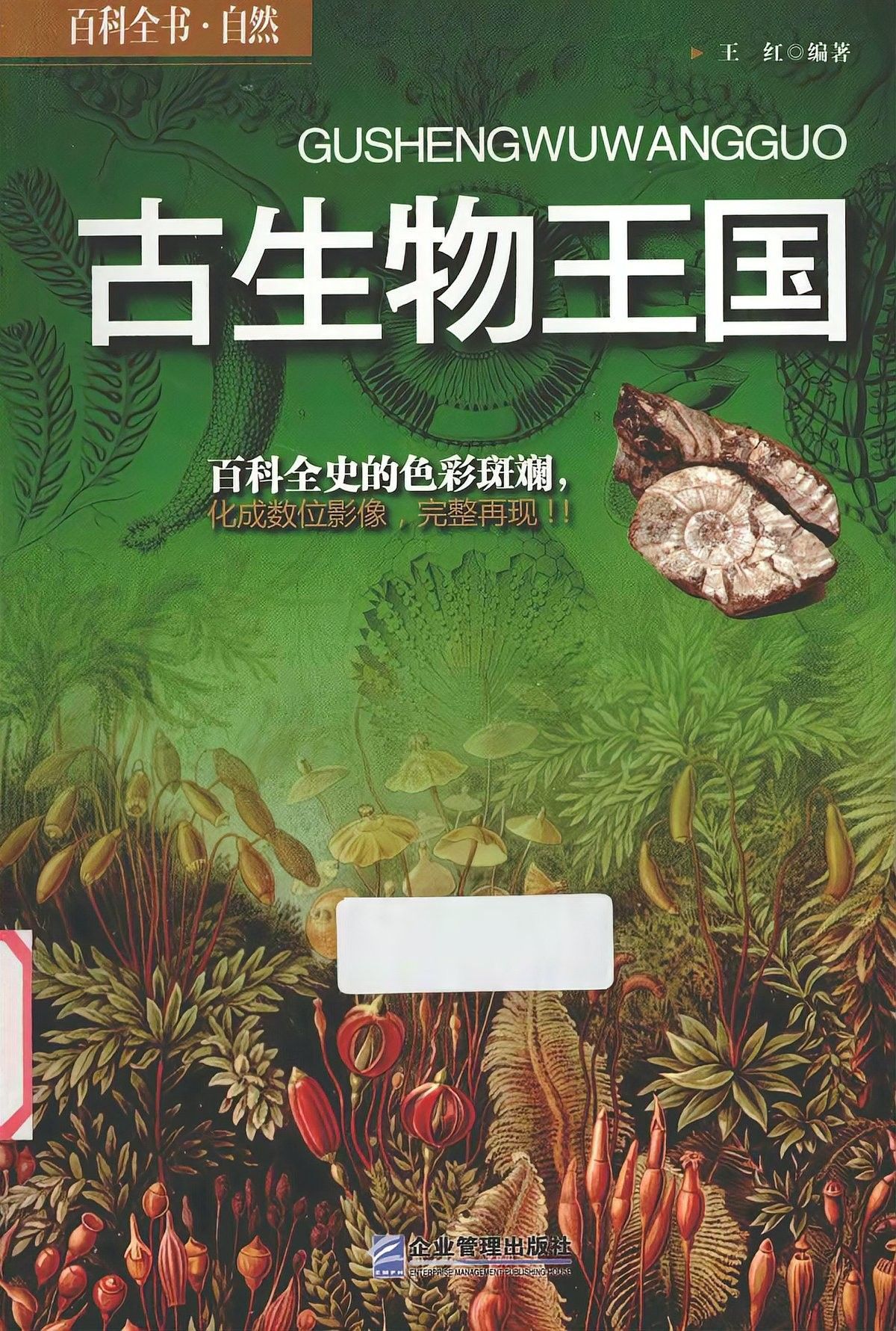 高背金龍爬背后還會變化嗎？