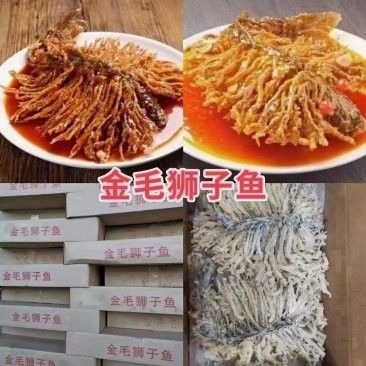 哪里可以查到濟南龍魚的實時批發價格（如何查詢濟南龍魚實時批發價格）