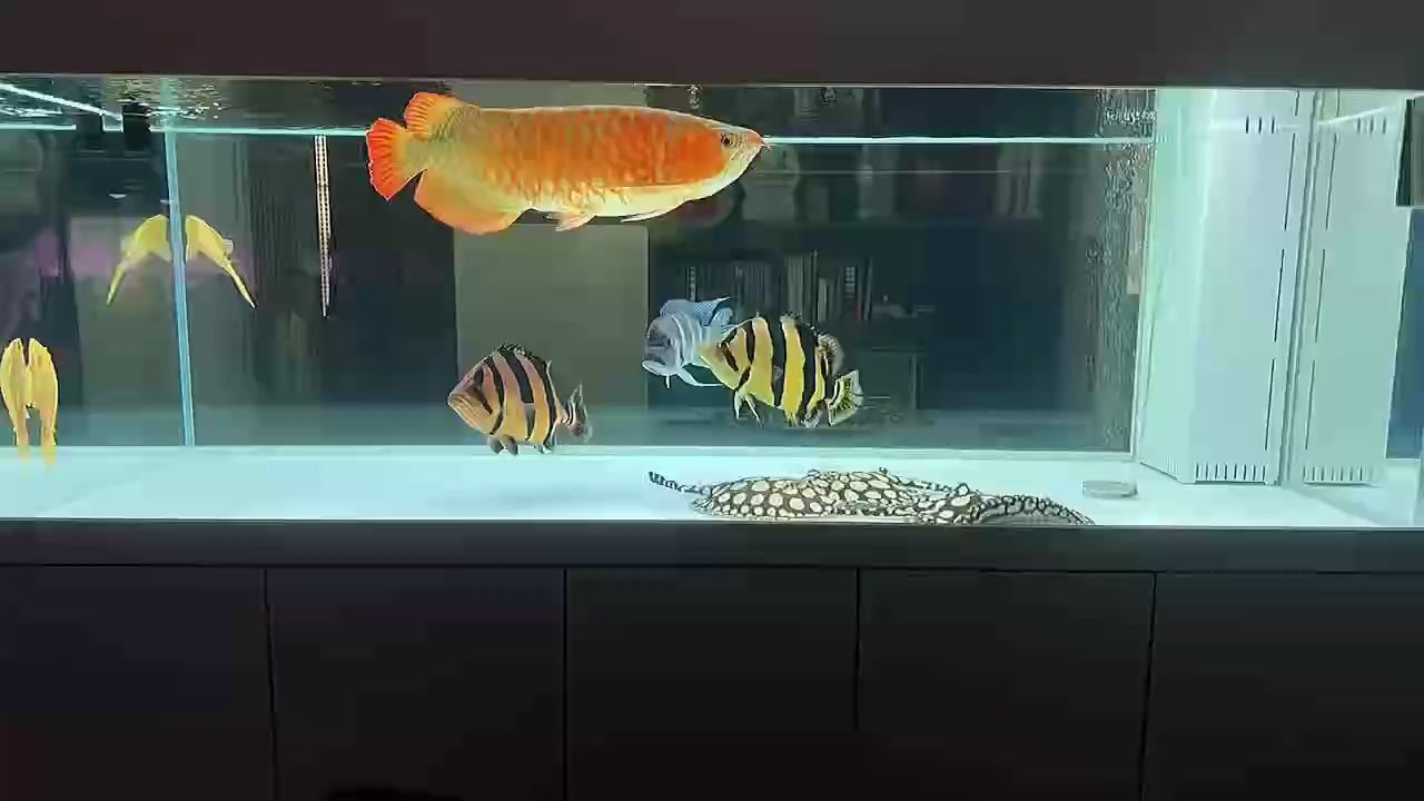 上班就快樂（上班就快樂，本文探討了工作與幸福感之間的關系并分析）
