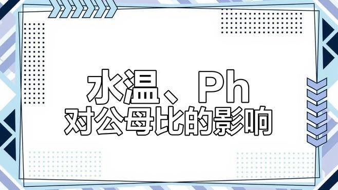 如何判斷雄魚是否進入含卵期（如何判斷雄魚是否已經進入含卵期？）