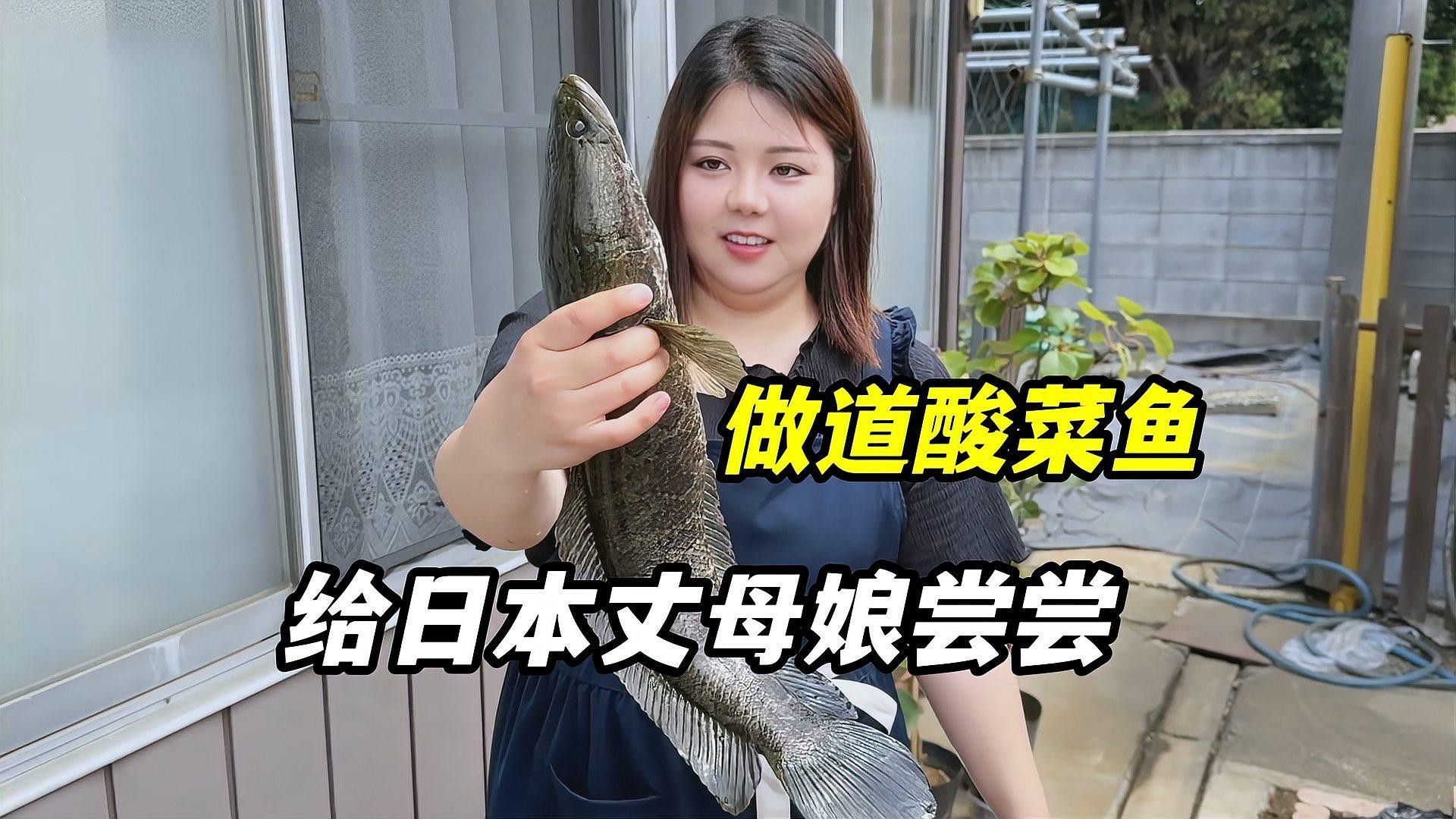 烏魚有哪些品種？（東莞探秘:黑魚的神秘世界生活成本計算器）