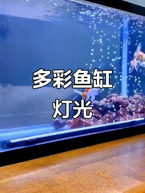 CRAZY PLANT的燈質量如何（crazyplant的魚缸燈在市場上表現參差不齊）