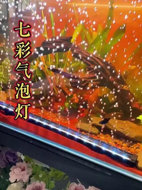 CRAZY PLANT的燈質量如何（crazyplant的魚缸燈在市場上表現參差不齊）