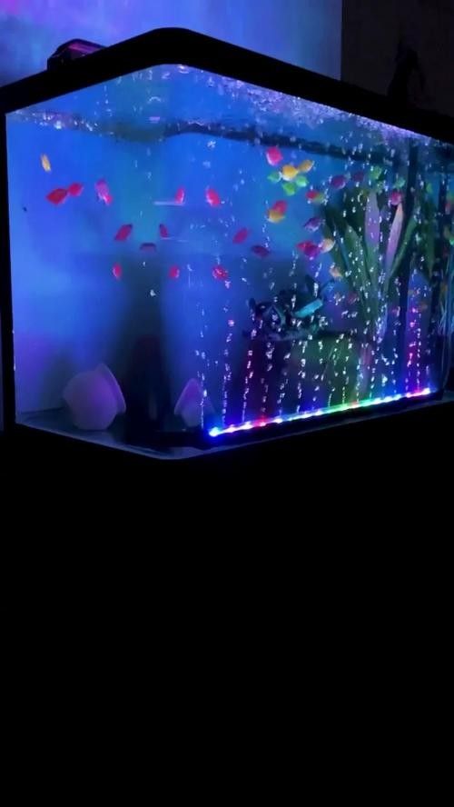 CRAZY PLANT的燈質量如何（crazyplant的魚缸燈在市場上表現參差不齊）