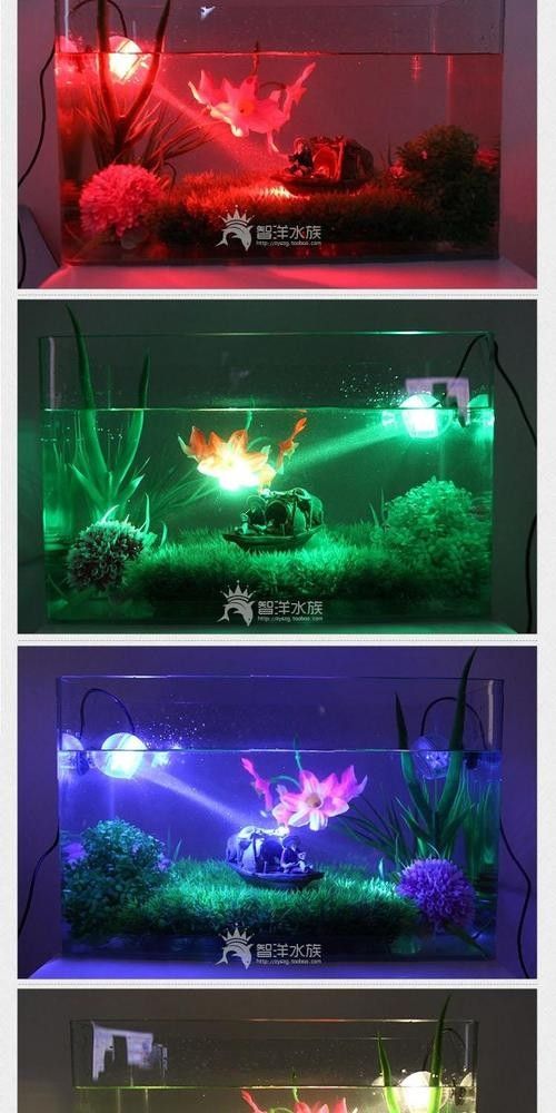 CRAZY PLANT的燈質量如何（crazyplant的魚缸燈在市場上表現參差不齊）