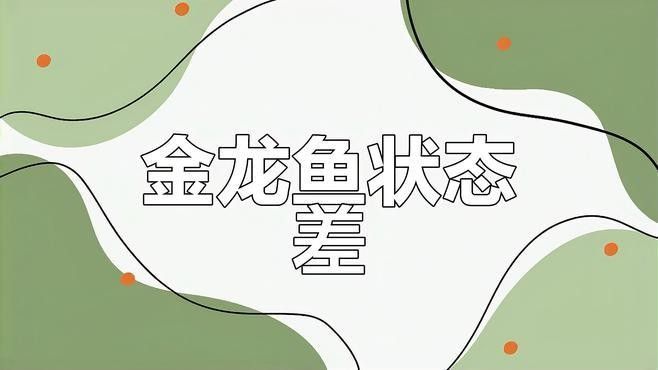 金龍魚不吃食怎么辦？（金龍魚不吃食怎么回事金龍魚不吃食怎么辦解決方法）