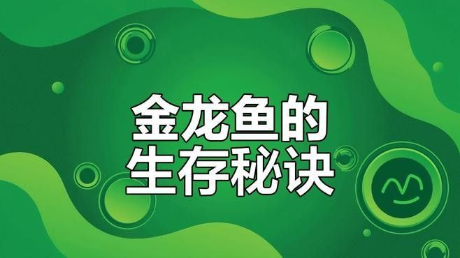 金龍魚不吃食怎么辦？（金龍魚不吃食怎么回事金龍魚不吃食怎么辦解決方法）