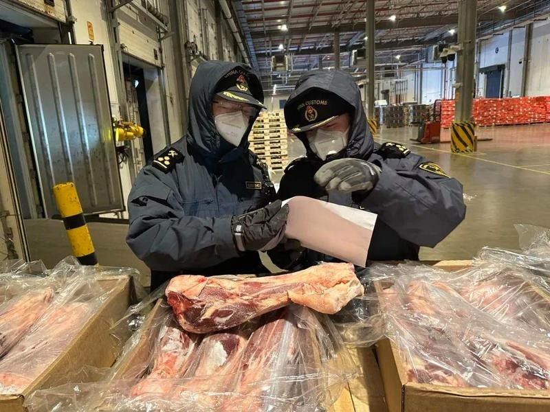 進境動植物檢疫許可證如何申請（進境動植物檢疫許可證辦理流程）