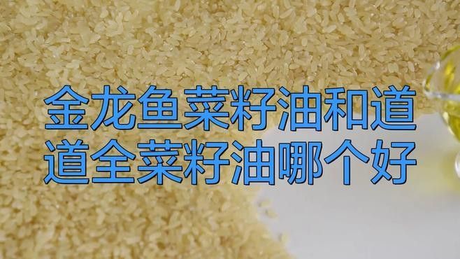 金龍魚和道道全哪個更受歡迎（金龍魚和道道全哪個好）