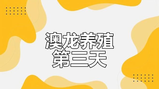 澳洲龍魚的市場價格是多少（澳洲龍魚價格一般多少？）