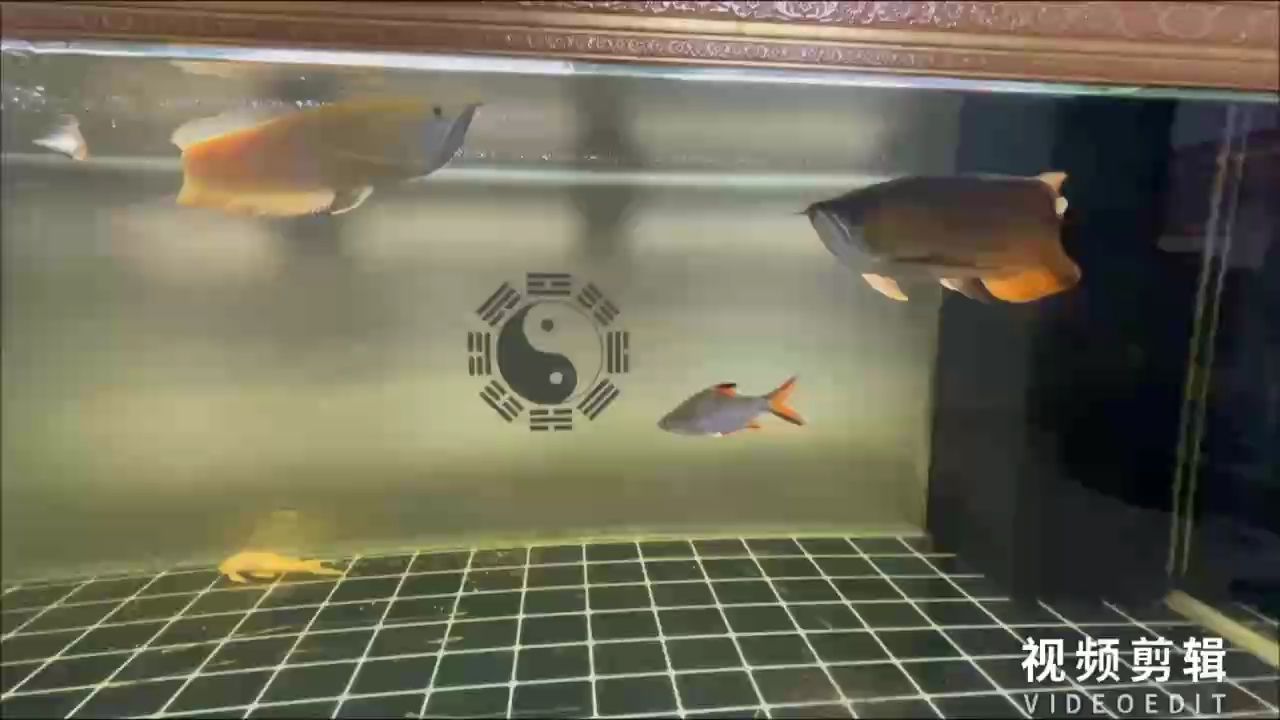 簽到（簽到系統的設計與實現）