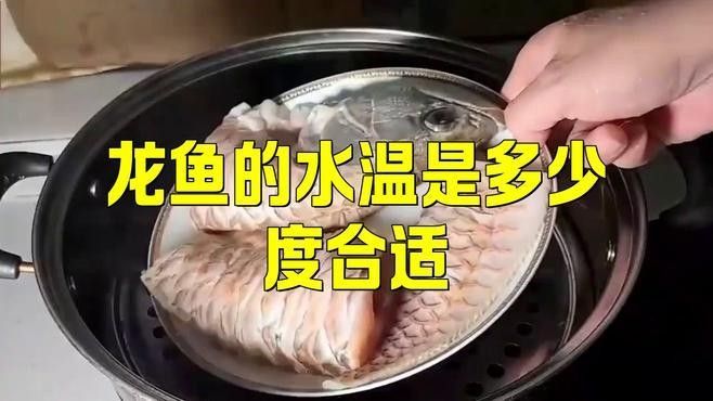 高淳哪個水族館龍魚好？祥龍魚場龍魚（南京祥龍魚場龍魚的價格范圍是多少？）