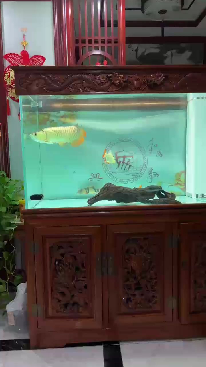 看會（vr技術(shù)在教育中的應(yīng)用）