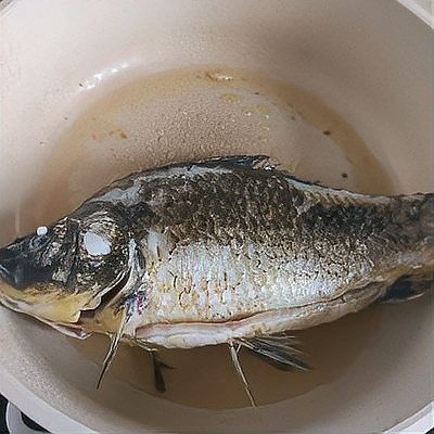 金龍魚燉豆腐的做法（福建海邊特色龍魚酸菜豆腐湯鮮嫩如豆腐營養(yǎng)滿滿蛾刃未歇）