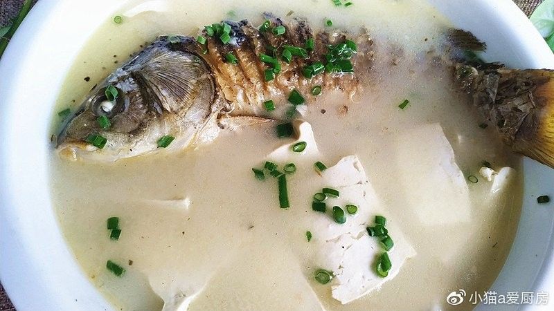 金龍魚燉豆腐的做法（福建海邊特色龍魚酸菜豆腐湯鮮嫩如豆腐營養(yǎng)滿滿蛾刃未歇）