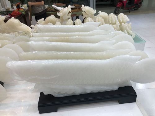 白玉金龍魚有哪些款式（養魚大全，如何區分白玉金龍魚這篇文章看懂你就明白了）