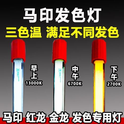 發色燈和烤色燈有什么區別？（美甲燈品牌評測推薦周雄安兄弟色燈和烤色燈的類型有哪些）