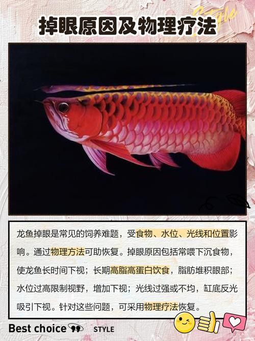 給我一些龍魚掉眼的恢復(fù)案例圖片（龍魚掉眼恢復(fù)案例）