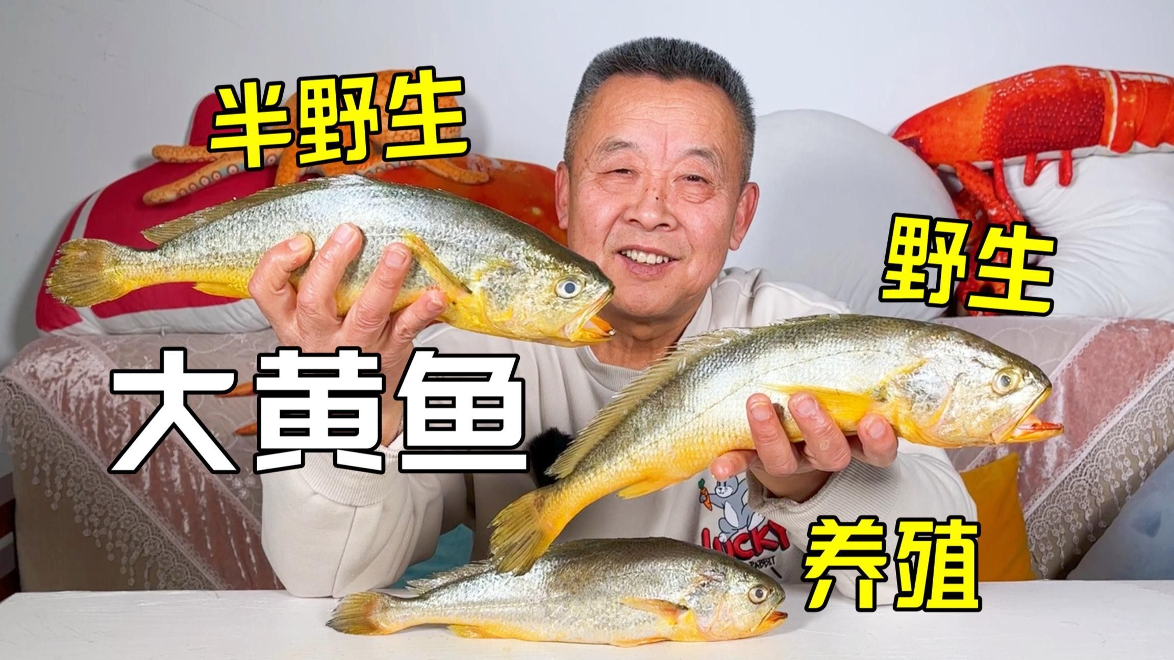 黃花魚和大黃魚哪個更好吃？（黃花魚和大黃魚到底差在哪里）
